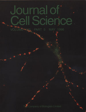 Journal of Cell Science Cover